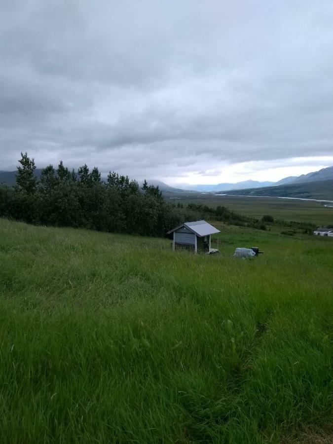 Iceland Yurt Ακουρέιρι Εξωτερικό φωτογραφία