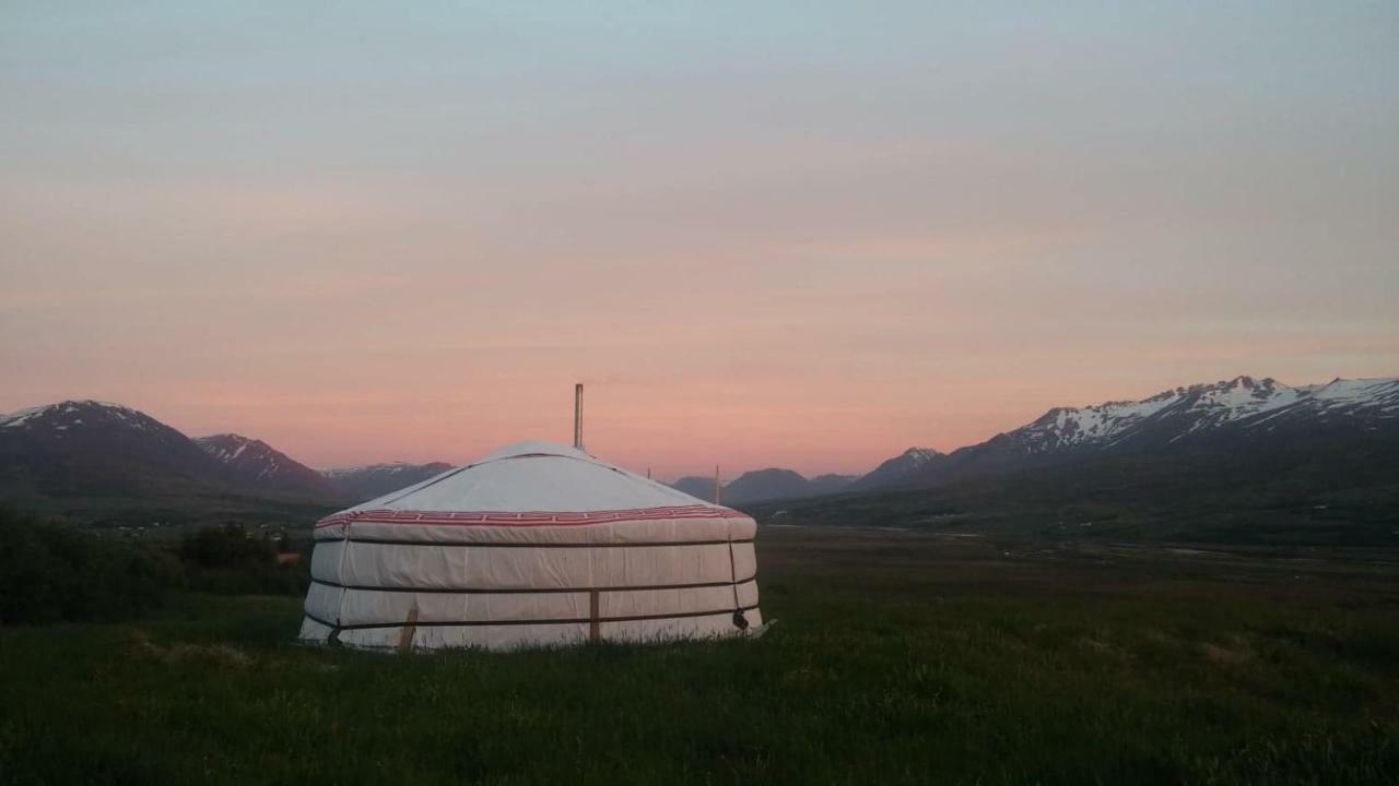 Iceland Yurt Ακουρέιρι Εξωτερικό φωτογραφία